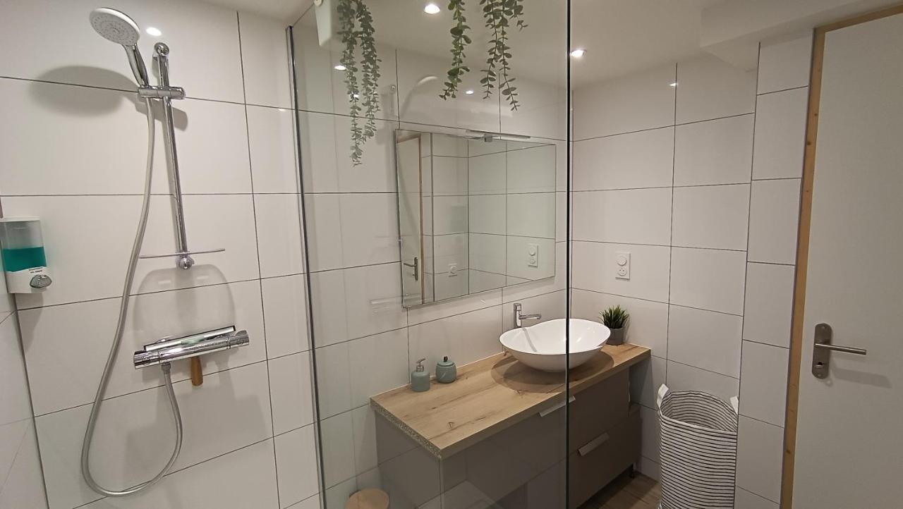 Refuge Des Myosotis - Proche Chambery - Jardin - Calme - Cosy Apartment Barberaz Exterior foto